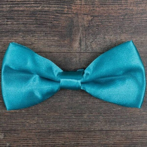 Бабочка бирюзового цвета в аренду для мужского костюма