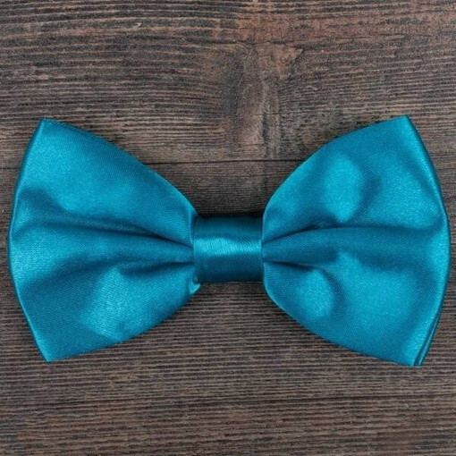 Кликните для увеличения изображения Бирюзовая бабочка в аренду для мужского костюма