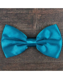 Бирюзовая бабочка в аренду для мужского костюма, изображение 1